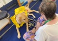 Person with dog in a life jacket