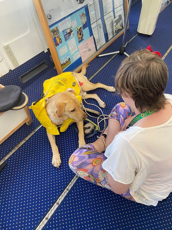 Person with dog in a life jacket