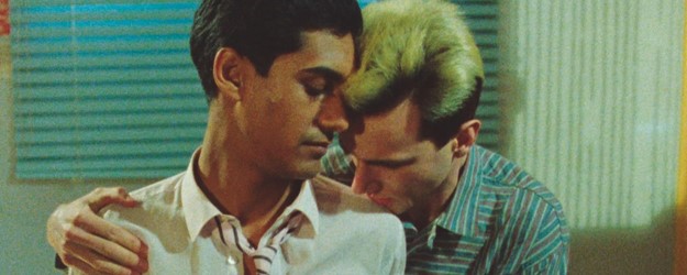 My Beautiful Laundrette + Desi Queers book launch (15) article image
