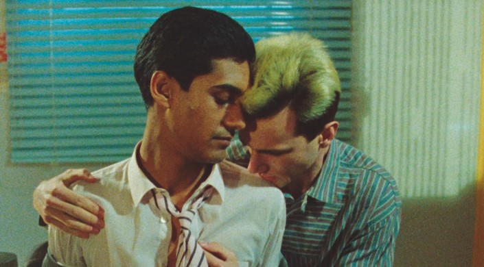 My Beautiful Laundrette + Desi Queers book launch (15)