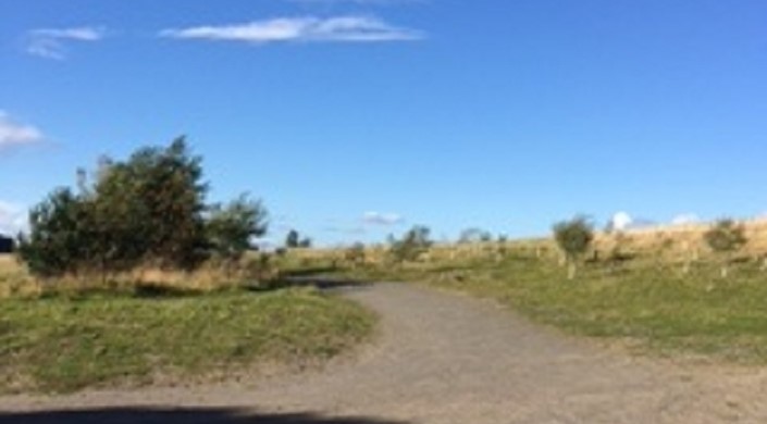 Weetslade Country Park