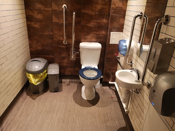 Picture of The Paddle Steamer's Accessible Toilet