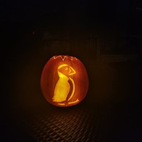 Profile image for Ronyag