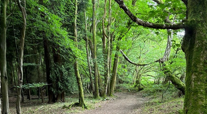 North Downs Way