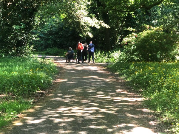 Wide pathways on the circular walk.