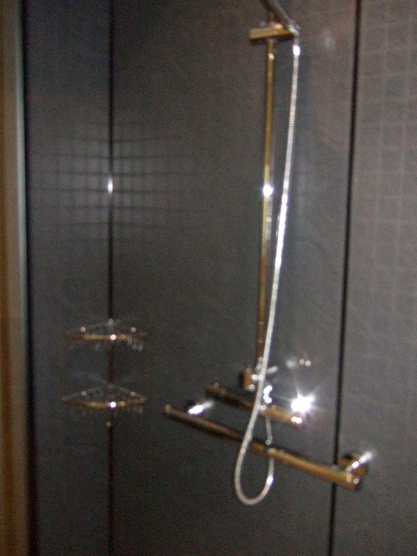 Shower with hand-held nozzle. Note support rail.