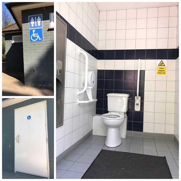 Toilet block accessible toilet