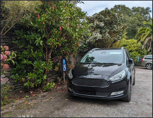 the disabled car parking space

a photo of my car (a black ford galaxy) parked in the disabled bay. It is on a gravel road and surrounded by sub-tropical trees and plants.