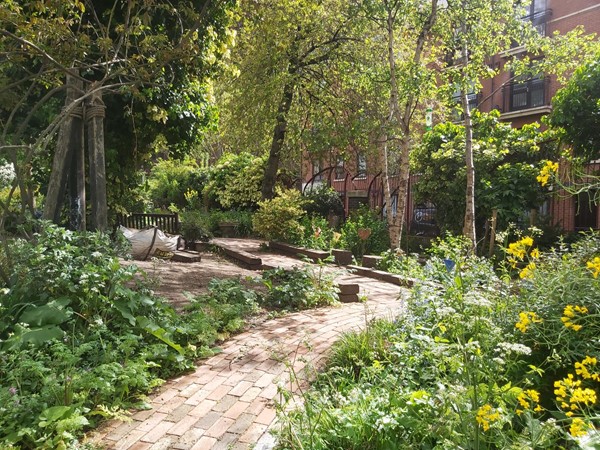 Picture of The Phoenix Garden, London