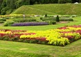 Picture of the gardens