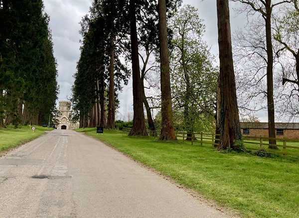 Image of a road with a building at the end