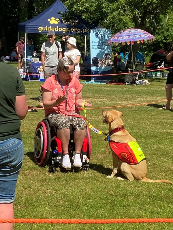 Assistance dog at River Dart Country Park