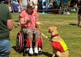 Assistance dog at River Dart Country Park