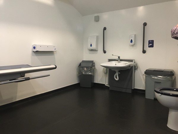 Changing places toilet with adjustable sink and plinth