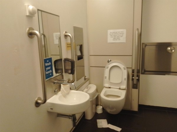 Image of an accessible toilet