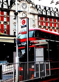 London Buses