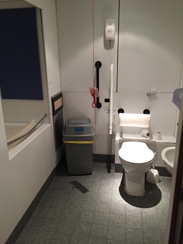 Picture of the Royal Academy of Arts - Accessible Toilet