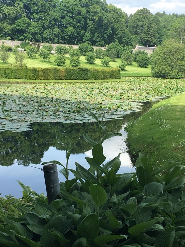 View of pond.