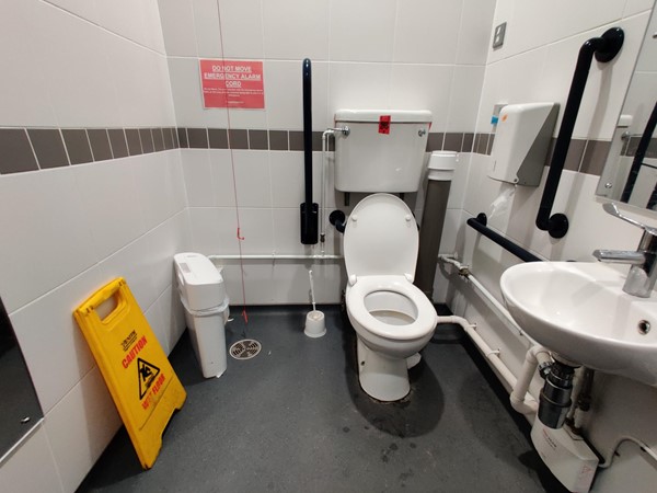 General view of the accessible toilet.