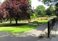 Picture of Stapenhill Gardens