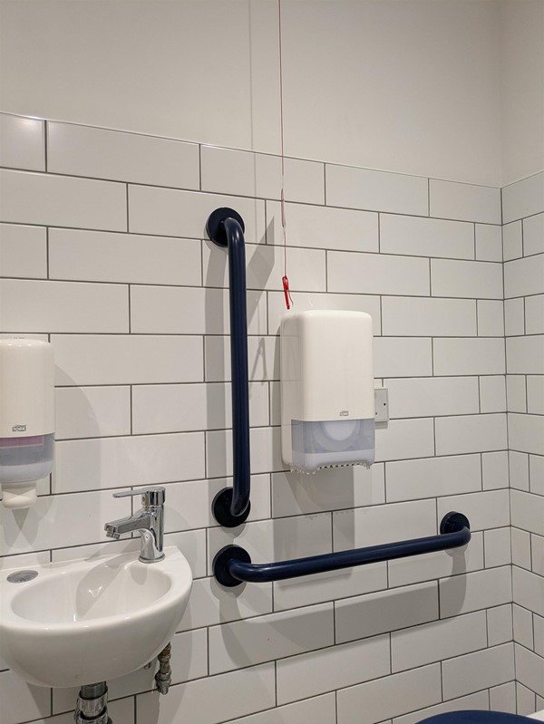 Image of small sink and grabrails in the accessible toilet