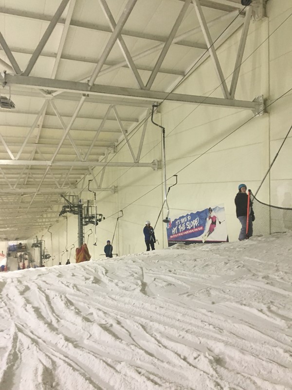 Picture of Snow Factor