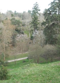 RHS Wakehurst