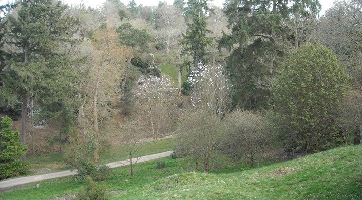 RHS Wakehurst