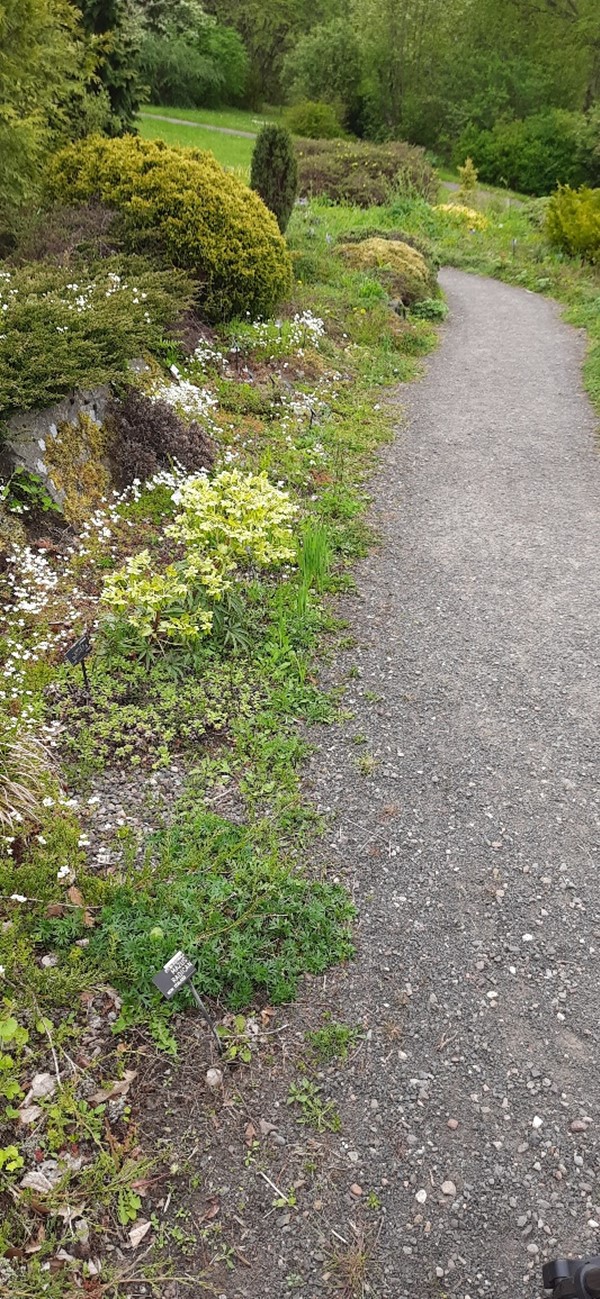 Pathway