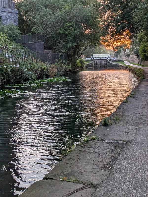 image of canal and path near Whitehall Road
