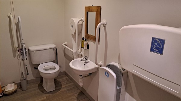 Image of an accessible toilet.