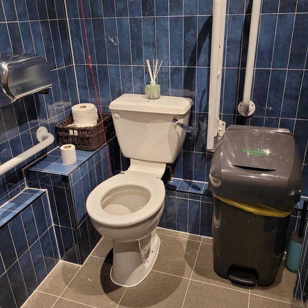 Image of an accessible toilet