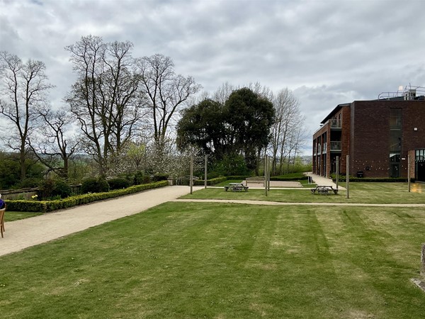 Image of a lawn