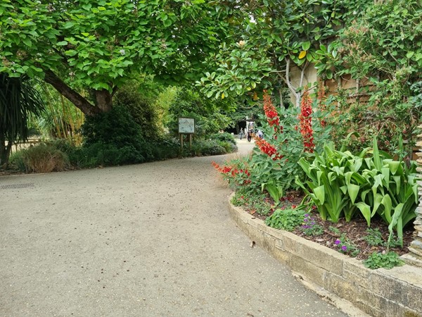 Wide pathway