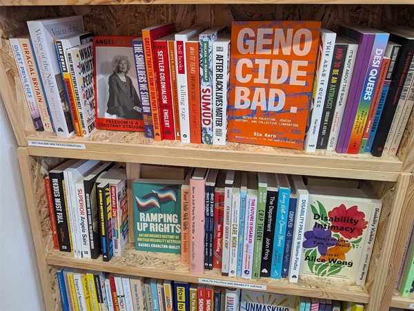image of the books on disability