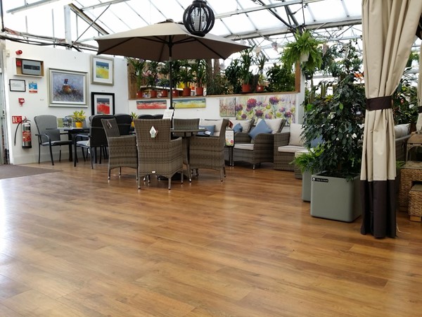 Picture of Stewarts Garden Centre