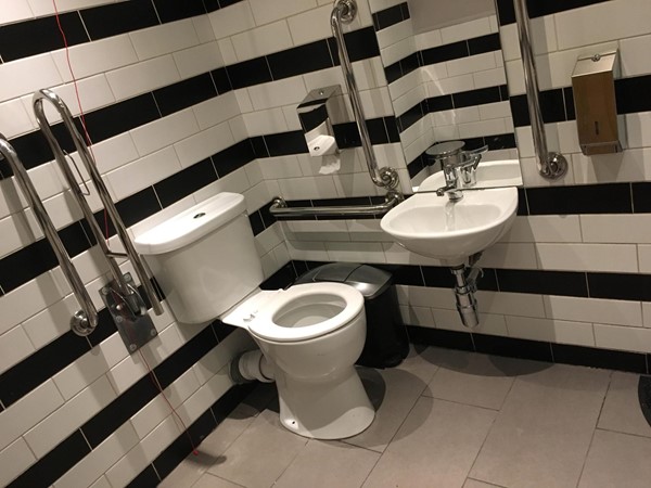 Image of the accessible toilet.