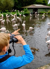 WWT Martin Mere Wetland Centre