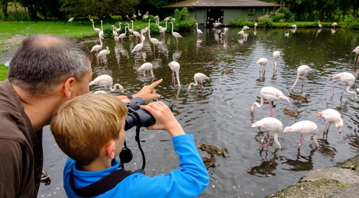 WWT Martin Mere Wetland Centre