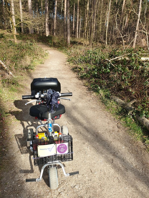 Image of a lightweight mobility scooter on a pathway in a forest.