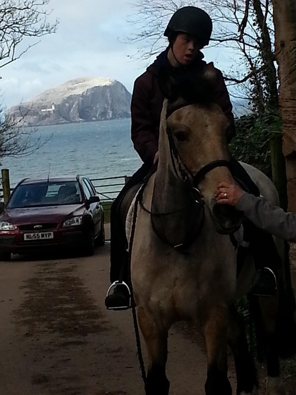 Picture of Seacliff Stables - Horse Rider