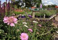 Perrywood Garden Centre, Colchester