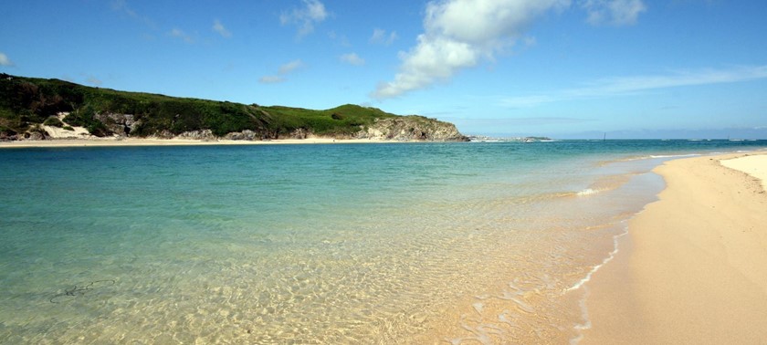 Tehidy Holiday Park