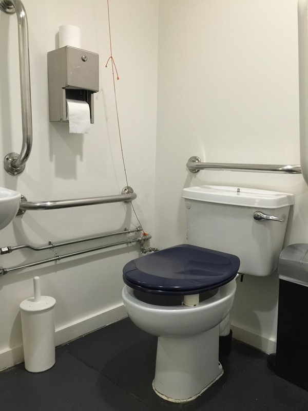 Accessible toilet