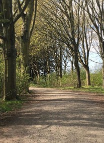 Forfar Loch Country Park