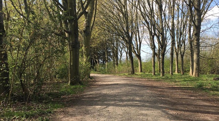 Forfar Loch Country Park