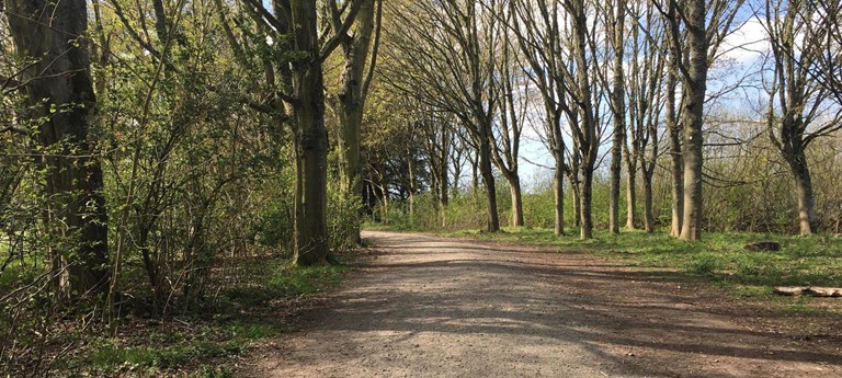 Forfar Loch Country Park