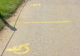 Wheelchair spaces for watching the falconry display.