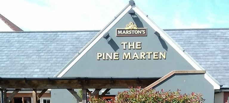 The Pine Marten