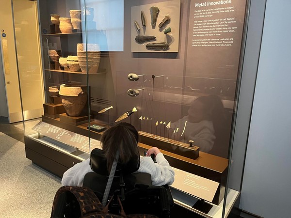 Image of a glass museum cabinet.